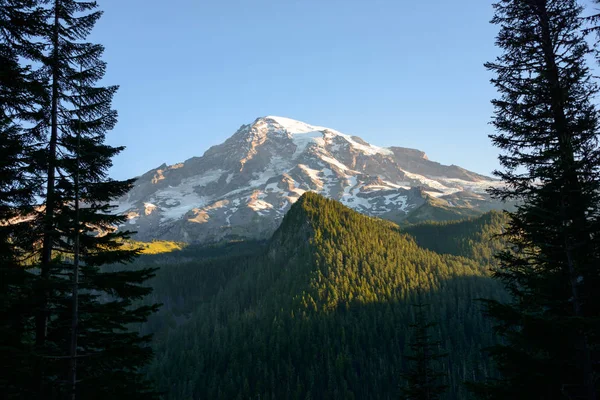Parku Narodowego Mount Rainier — Zdjęcie stockowe