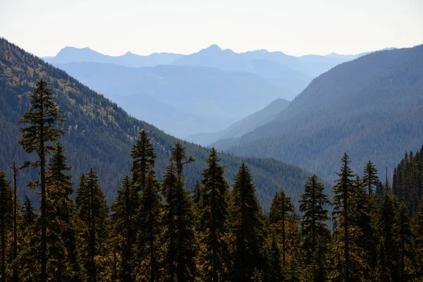 Národní Park Mount Rainier — Stock fotografie