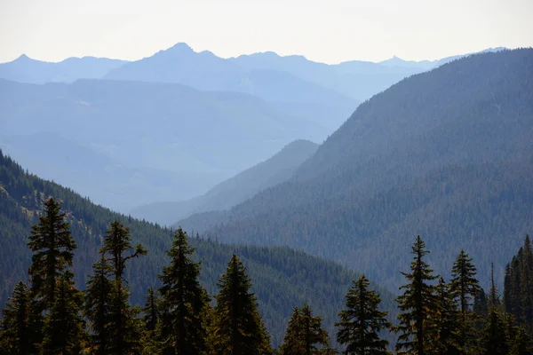 Parque Nacional Monte Rainier — Foto de Stock