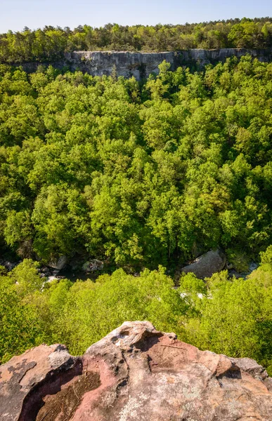 Spójrz do doliny w Little River Canyon National Preserve — Zdjęcie stockowe