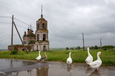 Tapınak Flora ve Kibol, Vladimir Bölgesi, Suzdal bölge Manastırı
