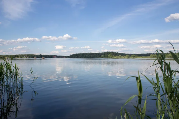 Letní Krajina Jezerech Medvěd — Stock fotografie