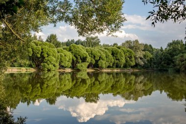 Yaz gölet Izmaylovsky parkta