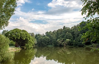 Yaz gölet Izmaylovsky parkta