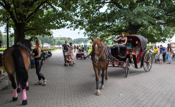 莫斯科 俄罗斯 2018年7月28日 人们骑着马在炎热的夏日在 Izmaylovsky — 图库照片