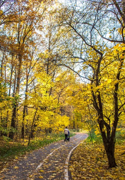 Brillante Día Otoño Parque Izmailovo — Foto de Stock