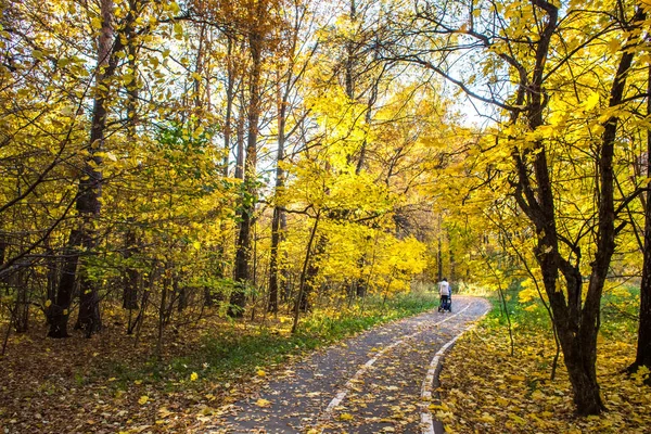 Heldere Herfstdag Het Izmailovo Park — Stockfoto