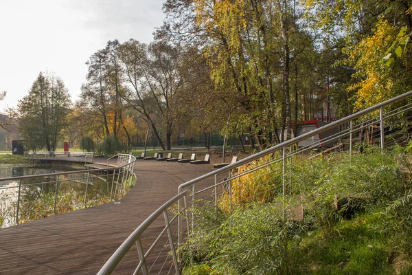 Утро Осеннем Парке Берегу Реки Пегорки — стоковое фото