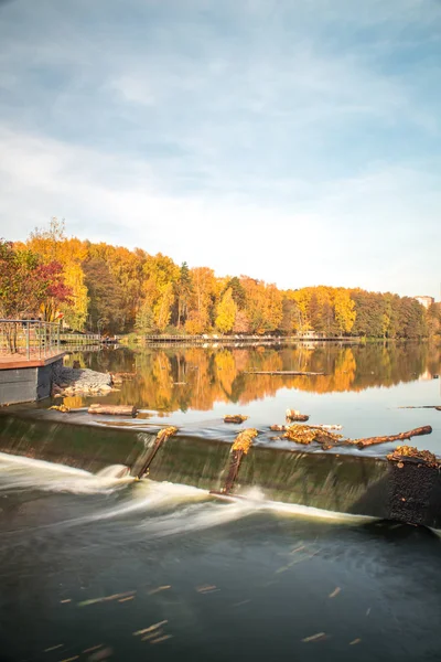 Ochtend Herfst Park Aan Oever Van Rivier Pehorka — Stockfoto