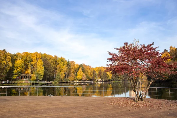 Ochtend Herfst Park Aan Oever Van Rivier Pehorka — Stockfoto