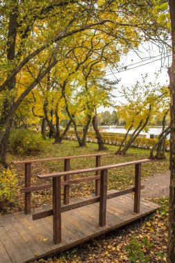 Sonbahar parlak manzara Izmailovsky Parkı Mosco'nda