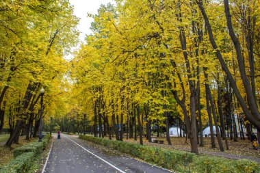 Sonbahar parlak manzara Izmailovsky Parkı Mosco'nda