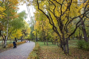 Sonbahar parlak manzara Izmailovsky Parkı Mosco'nda