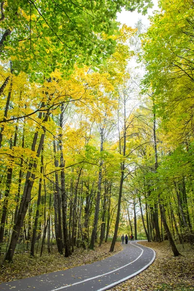 Осенний Яркий Пейзаж Измайловском Парке Моско — стоковое фото