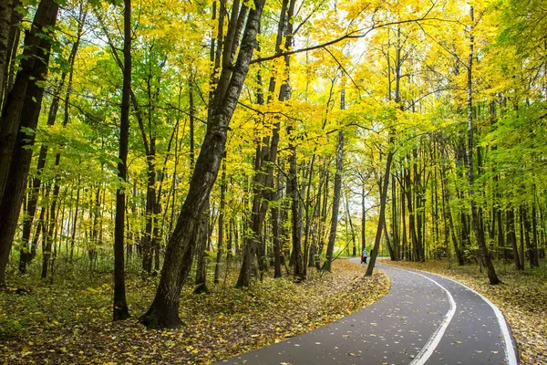 Осенний Яркий Пейзаж Измайловском Парке Моско — стоковое фото