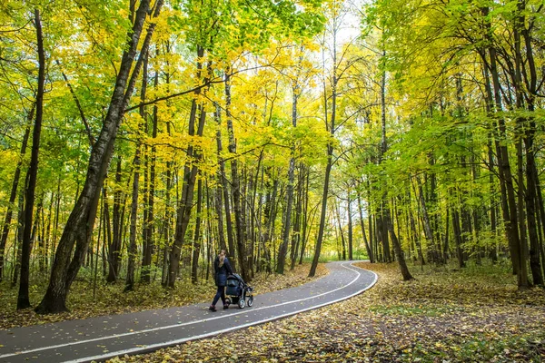 Otoño Paisaje Brillante Parque Izmailovsky Mosco — Foto de Stock