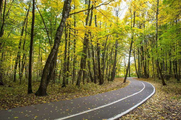 Jesienny Krajobraz Jasne Parku Izmajłowskiego Mosco — Zdjęcie stockowe