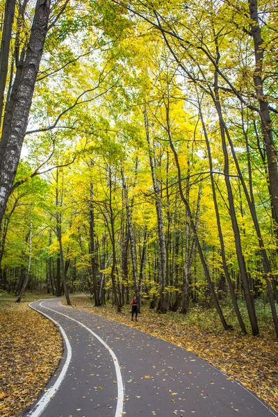 Outono Paisagem Brilhante Parque Izmailovsky Mosco — Fotografia de Stock