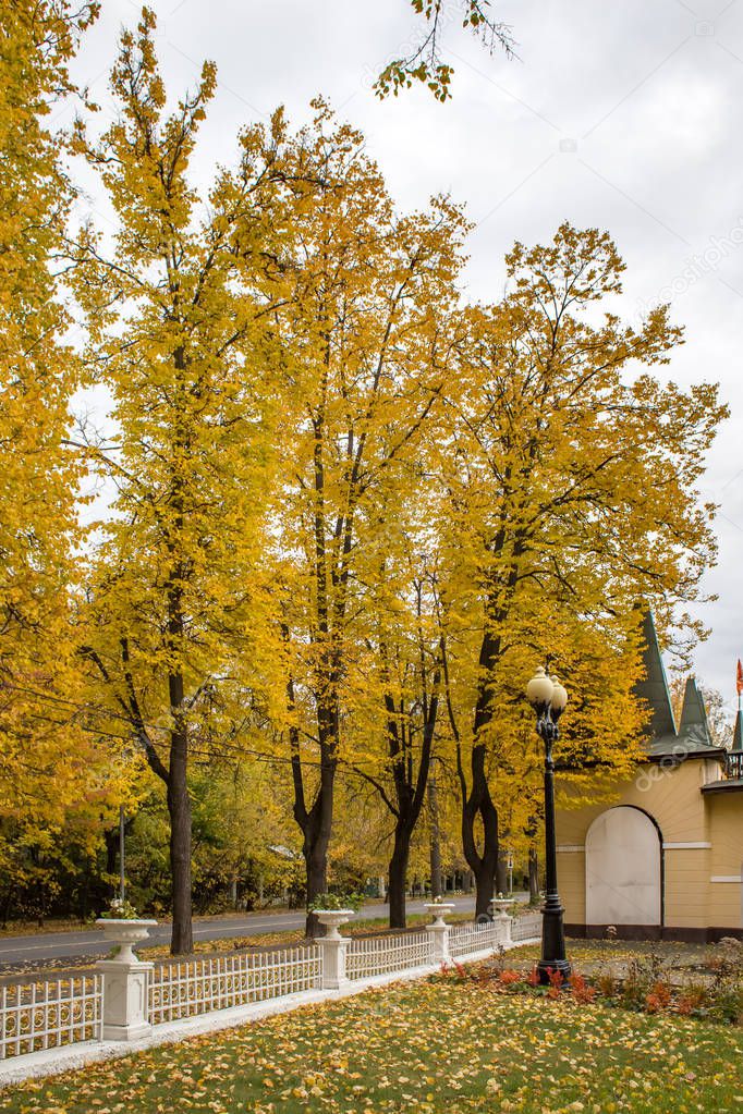 Autumn bright landscape in Izmailovsky Park in Mosco