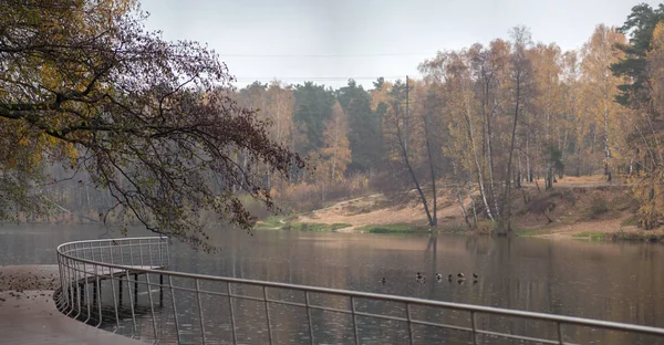 Bulutlu Soğuk Öğleden Sonra Pekhorka Nehrinde Sonbahar Manzara — Stok fotoğraf