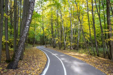 Golden leaf fall sıcak Ekim altında orman park Izmailovo sonbahar geldi