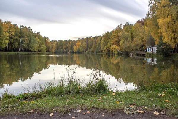 Caminatas Otoño Parque Forestal Izmailovo Bajo Caída Hoja Oro Del — Foto de Stock