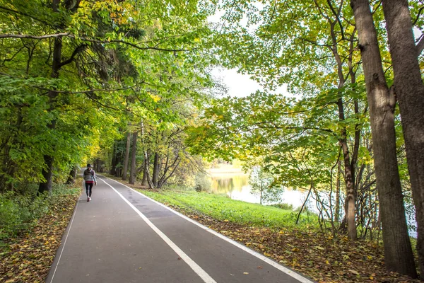 Herfst Wandelingen Het Bos Park Izmailovo Onder Golden Leaf Val — Stockfoto