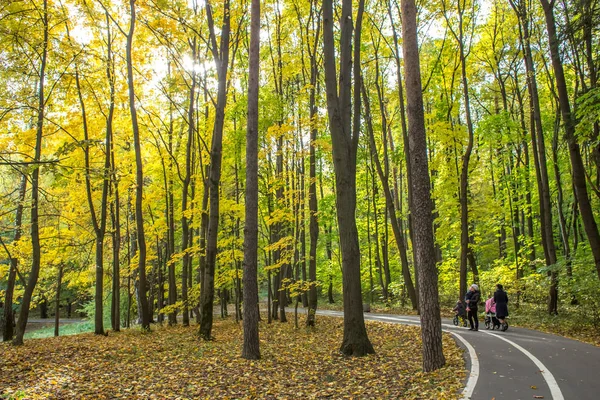 Herbstspaziergänge Waldpark Izmailovo Unter Dem Goldenen Blatt Herbst Des Warmen — Stockfoto