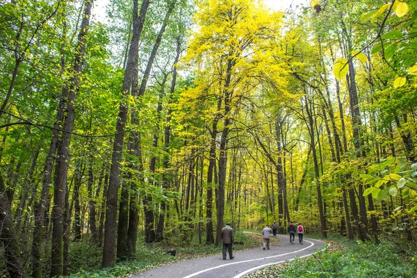 Passeggiate Autunnali Nel Parco Forestale Izmailovo Sotto Caduta Foglia Oro — Foto Stock