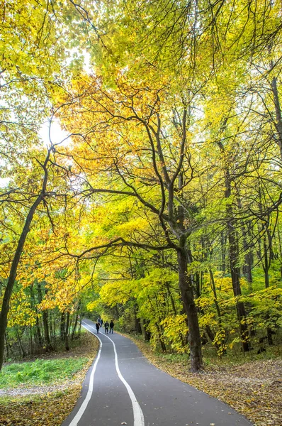 Herfst Wandelingen Het Bos Park Izmailovo Onder Golden Leaf Val — Stockfoto