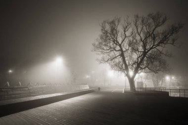 Pekhorka Nehri setin soğuk sonbahar sisin içinde üzerinde gece manzarası