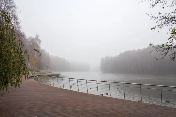 Herfst Mistige Landschap Aan Kade Van Rivier Pekhorka — Stockfoto