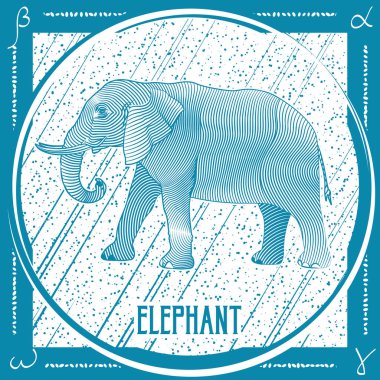 kart el ile çizilmiş şirin renkli fil, vektör, illüstrasyon