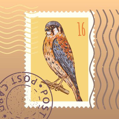 Posta pulu kerkenez kuş, vektör, illüstrasyon