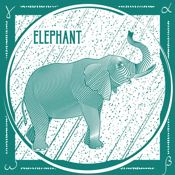 Karte Mit Handgezeichneten Niedlichen Bunten Elefanten Vektor Illustration — Stockvektor