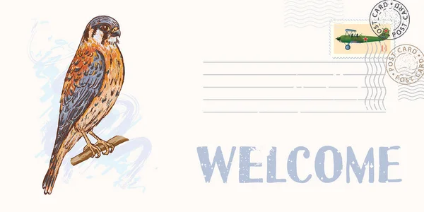 切手カード チョウゲンボウ鳥 ベクトル イラスト — ストックベクタ