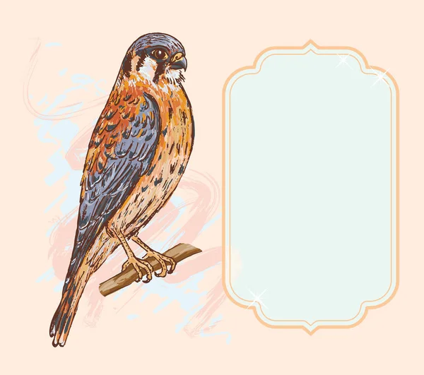 Вітальна Листівка Кестрельською Пташкою Вектор Ілюстрація — стоковий вектор