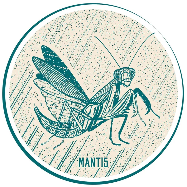 Bouton Vert Insecte Mantis Vecteur Illustration — Image vectorielle