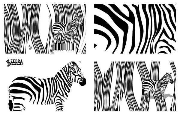 Broschüren Zebrastil Vektor Illustration — Stockvektor