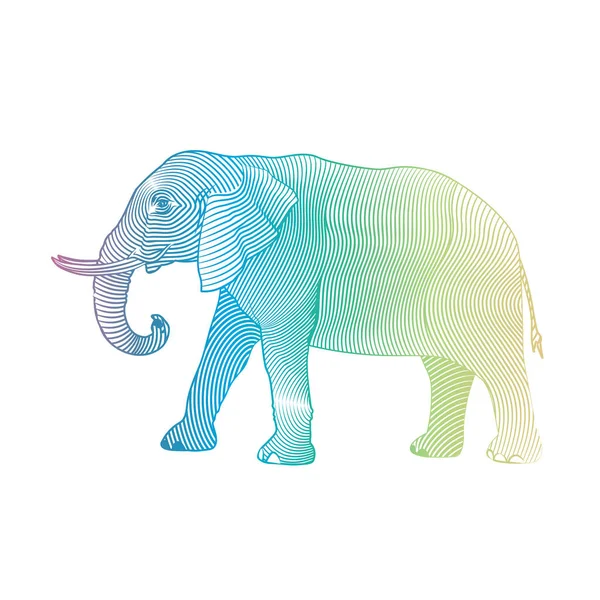 Hand Dras Söt Färgglad Elefant Isolerad Vit Bakgrund Vektor Illustration — Stock vektor