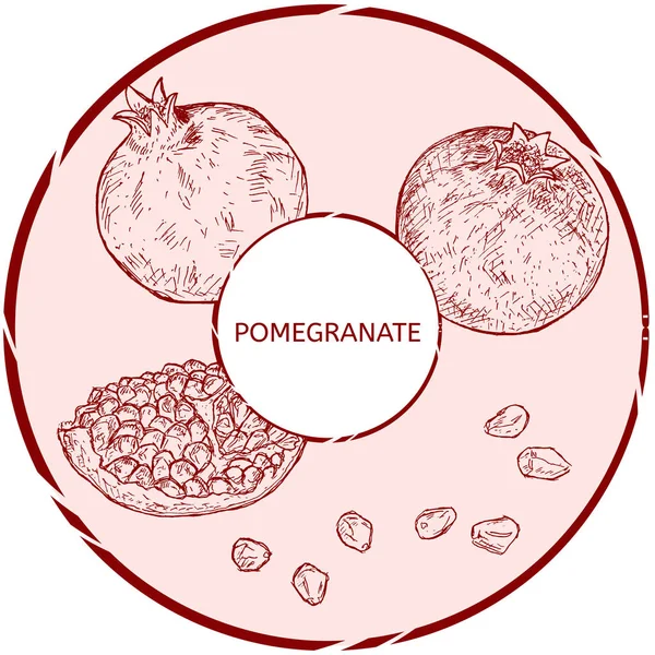 Rosa Kreis Mit Handgezeichneten Roten Granatäpfeln Auf Weißem Hintergrund — Stockvektor