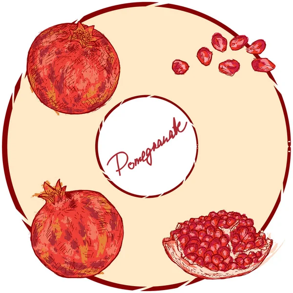 Handgezeichnete Rote Granatäpfel Isoliert Auf Weißem Hintergrund — Stockvektor