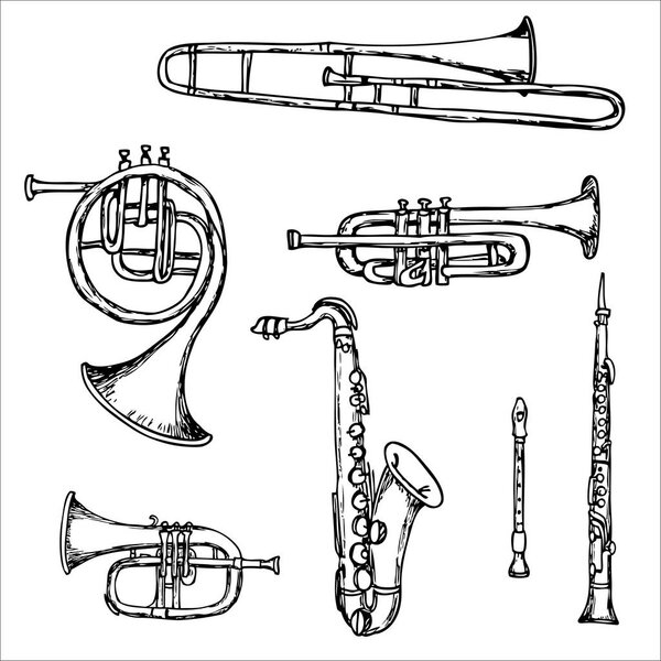 Set of classic wind instruments on white background