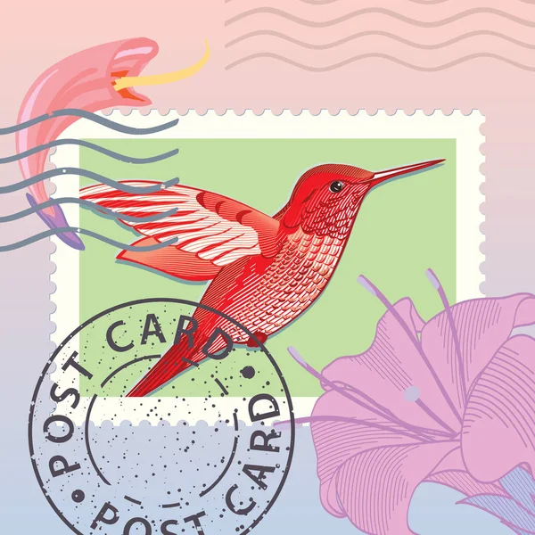 Sello Postal Con Colibrí Vector Ilustración — Vector de stock