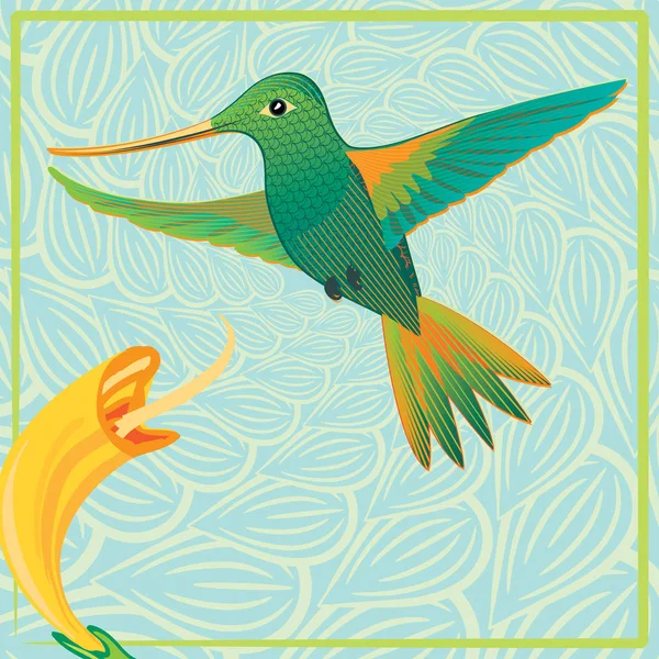 Grußkarte Mit Grünem Kolibri Vogel Und Schöner Blume Vektor Illustration — Stockvektor
