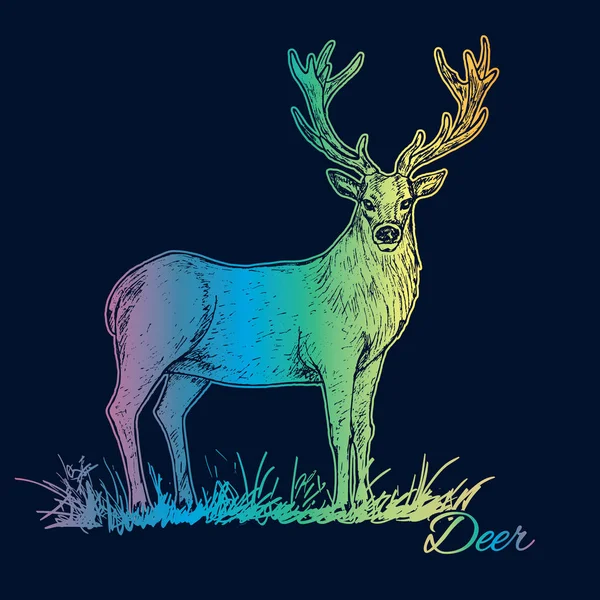 Hand Getekende Deer Gras Vector Illustratie — Stockvector