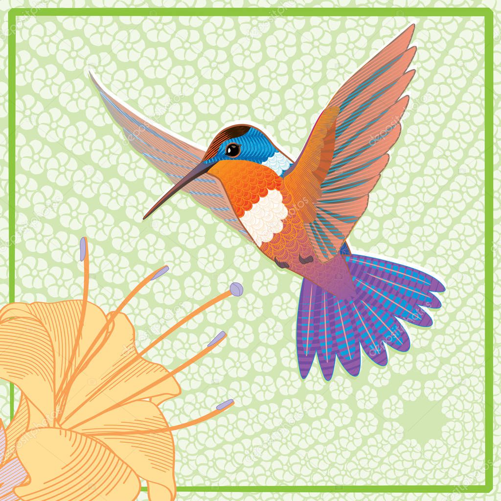 greeting card with colorful colibri bird and beautiful flower, vector, illustration