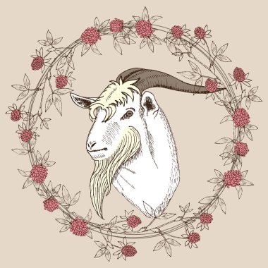 sevimli çizgi keçi, vektör çizim