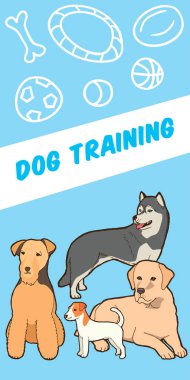 şirin farklı köpekler, köpek eğitim afiş, vektör çizim çizim