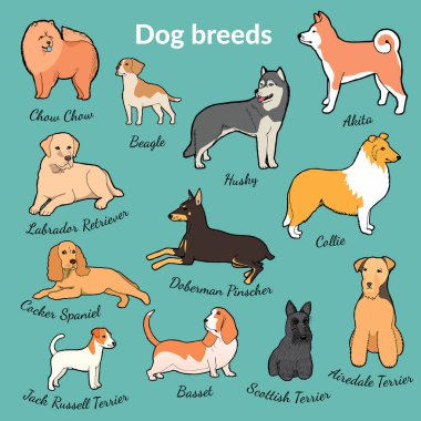 farklı köpek doğurmak-in çizim, illüstrasyon vektör